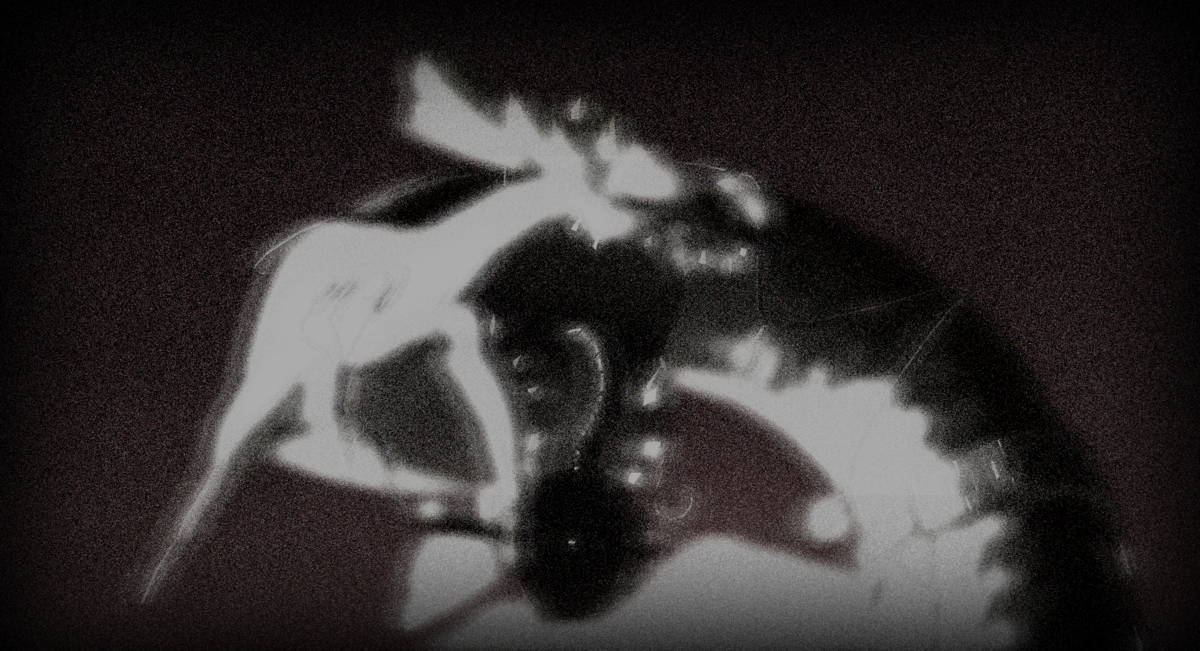 1200px-S3_Horrorboros_News.png?20230824035603