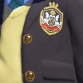 Closeup of the emblem and buttons.