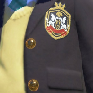 School Uniform Emblem Buttons Closeup.jpg