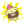 S2 Splatfest Icon Pompompurin.png