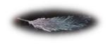 File:God of War Phoenix feather.jpg