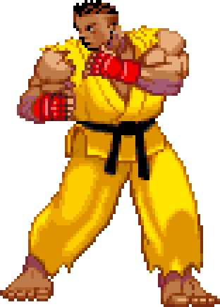 Solid Puncher, Street Fighter Wiki