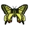 File:DogIsland swallowtailbutterfly.png