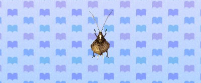 File:ACNL bellcricket.png
