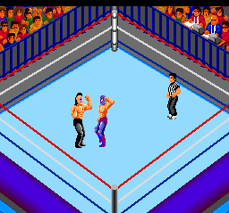 File:Fire Pro Wrestling Combination TAG PCE screen.png
