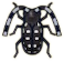 ACNH Citrus Long-horned Beetle.png