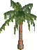 Palm Tree ($16, 1x1)