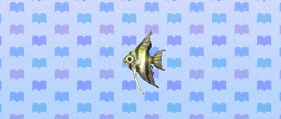 File:ACNL angelfish.png