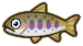 ACNH Cherry Salmon.png