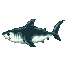 ACWW Great White Shark.png