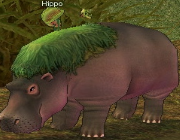 Mabinogi Monster Hippo.png
