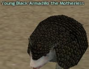Mabinogi Monster Young Black Armadillo.png