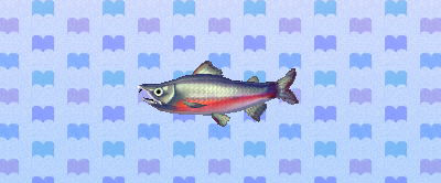 File:ACNL salmon.png