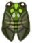 File:ACNH Robust Cicada.png