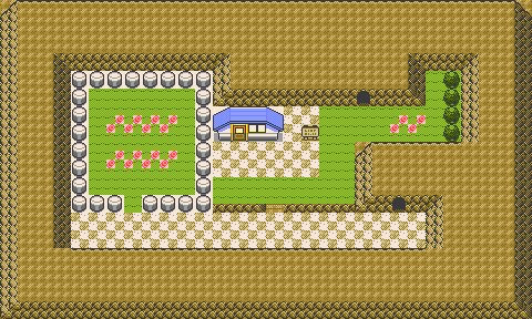 Pokémon Gold and Silver/Mt. Mortar — StrategyWiki