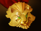 Dota 2 items medallion of courage.png