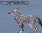 Mabinogi Monster Young White Dingo.png