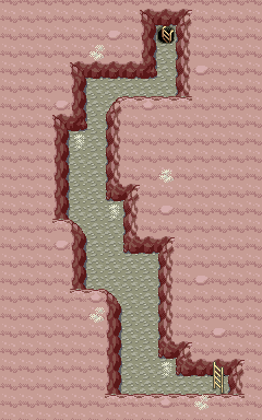 Pokemon FRLG Ruby Path B1F.png