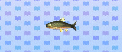 ACNL dace.png