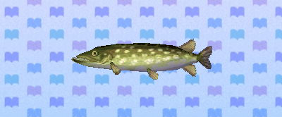File:ACNL pike.png