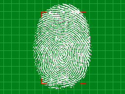 GK2 5-5 Fingerprint.png