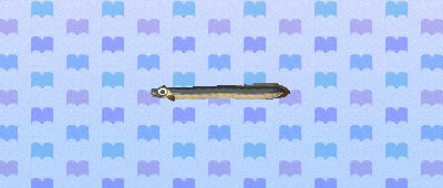 File:ACNL eel.png