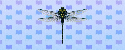 ACNL petaltaildragonfly.png