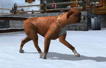 File:Dog's Life Boxer.jpg