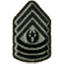CoD MW2 Emblem CommandSergeantMajor.png
