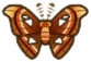 ACNH Atlas Moth.png