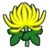 File:DogIsland chrysanthemum.png
