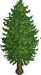 File:RCT EuropeanLarch.png