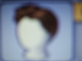 File:TS2N Brown Hair Icon.jpg