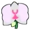 File:DogIsland orchid.png