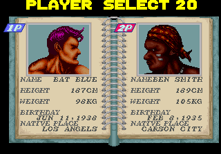 Solitary Fighter character selection screen.png