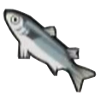 File:DogIsland silverfish.png