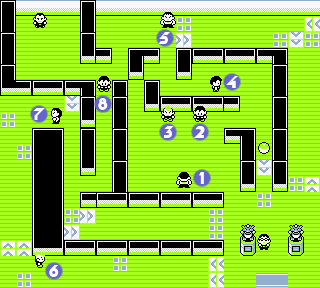 cilia honning Styrke Pokémon Red and Blue/Viridian City Gym — StrategyWiki, the video game  walkthrough and strategy guide wiki