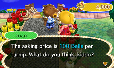 Animal Crossing: New Leaf/Joan — StrategyWiki, the video game walkthrough  and strategy guide wiki