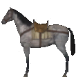 Mount&Blade horse Sumpter Horse.png
