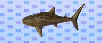 File:ACNL whaleshark.png