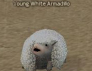 Mabinogi Monster Young White Armadillo.png