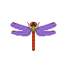 ACWW Red Dragonfly.png