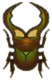 ACNH Cyclommatus Stag.png