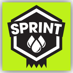 File:Dirt 3 achievement Perfect Sprint.png