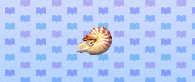 File:ACNL chamberednautilus.png
