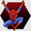 SpidermanSD The complete package achievement.jpg