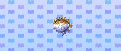 ACNL pufferfish.png