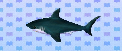 ACNL shark.png