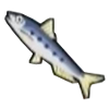 DogIsland sardine.png