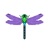 ACWW Darner Dragonfly.png